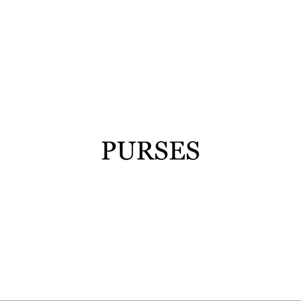 Purses Divider